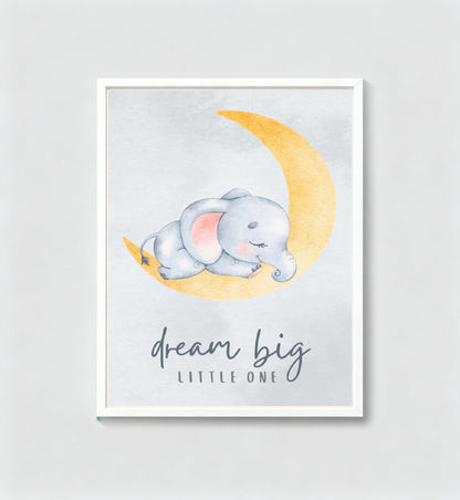 Dream Big